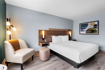 Standard Room, 1 King Bed, Accessible, Refrigerator & Microwave