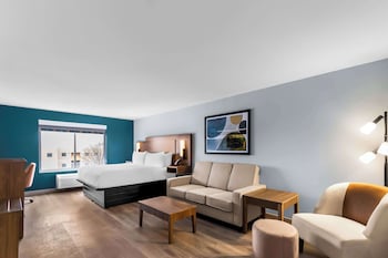 Executive Room, 1 King Bed, Non Smoking, Refrigerator & Microwave (Larger Room;with Sofabed)