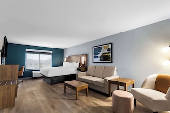Executive Room, 1 King Bed, Non Smoking, Refrigerator & Microwave (Larger Room;with Sofabed)
