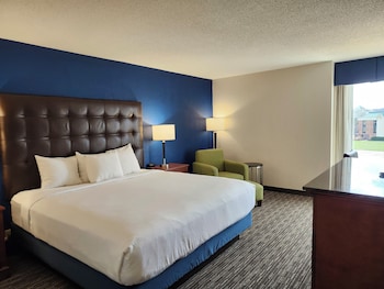 Room, 1 King Bed, Non Smoking