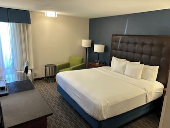 Room, 1 King Bed, Non Smoking