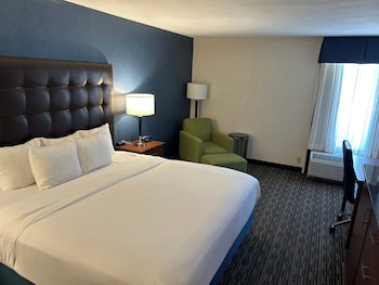 Room, 1 King Bed, Accessible, Non Smoking (Mobility/Hearing, Tub w/ Grab Bars)