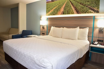 Suite, 1 King Bed, Non Smoking