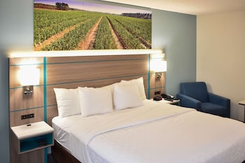 Suite, 1 King Bed, Non Smoking