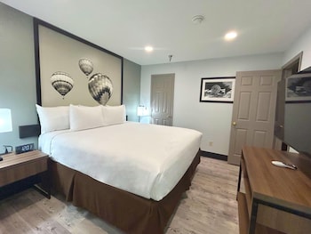 Standard Apartment, 1 King Bed, Non Smoking, Kitchen (with Sofabed, Full Kitchen)