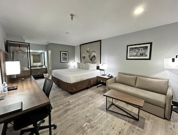 Standard Room, 1 King Bed, Non Smoking (with Single Sofabed)