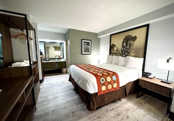 Suite, 1 King Bed, Non Smoking (with Sofabed)