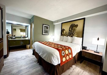 Standard Room, 1 Queen Bed, Non Smoking (with Single Sofabed)