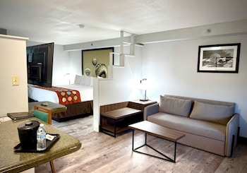 Standard Apartment, 1 King Bed, Non Smoking, Kitchen (with Sofabed, Full Kitchen)
