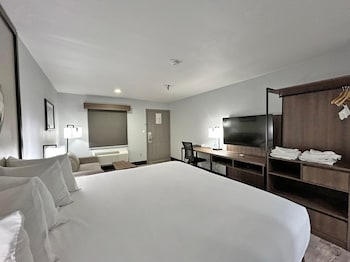 Standard Room, 1 King Bed, Non Smoking (with Single Sofabed)