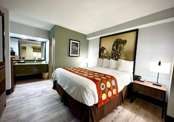 Standard Room, 1 King Bed, Non Smoking (with Single Sofabed)