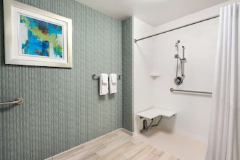 Room, Accessible (Roll-in Shower)