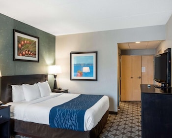 Room, 1 King Bed, Accessible, Non Smoking