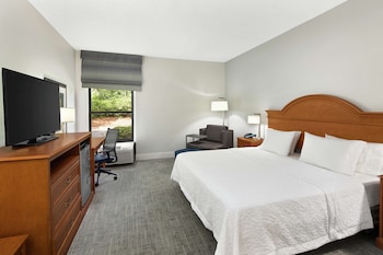 One King Bed, Non-Smoking, Accessible