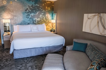 Room, 1 King Bed