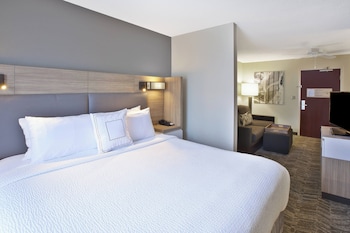 Suite, 1 King Bed with Sofa bed, Non Smoking (Mobility Accessible, Roll-In Shower)
