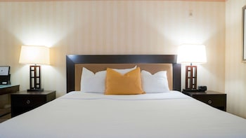 Standard Room, 1 King Bed, Smoking, Refrigerator & Microwave