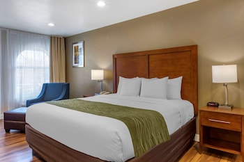 Suite, 1 King Bed with Sofa bed, Non Smoking