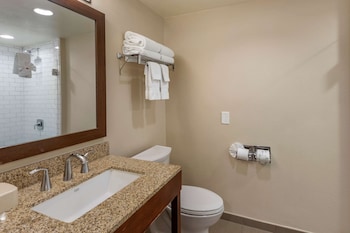 Suite, 1 King Bed with Sofa bed, Non Smoking