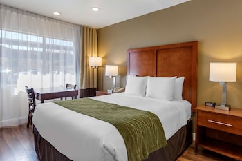 Room, 1 Queen Bed, Accessible, Non Smoking (Efficiency)