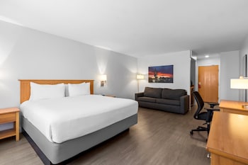 Room, 1 King Bed