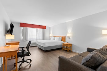 Executive Room, 1 King Bed