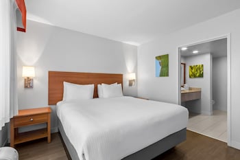 Suite, 1 King Bed