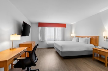 Room, 1 King Bed