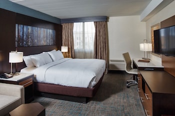 Room, 1 King Bed, Accessible (Roll-In Shower)