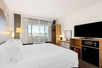 Room, 1 King Bed, Accessible (Roll-In Shower)