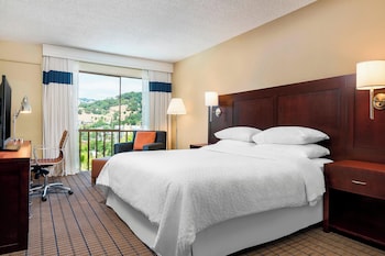 Room, 1 King Bed (Mobility Accessible, Tub)