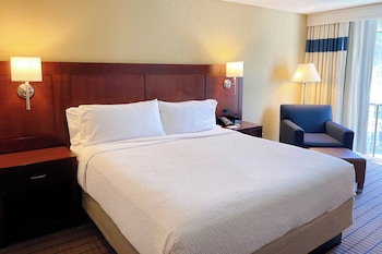 Deluxe Room, 1 King Bed