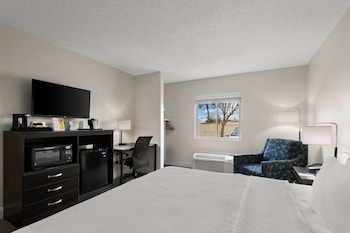 Room, 1 King Bed, Accessible, Non Smoking (Roll-In Shower)