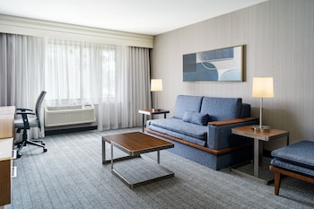Suite, 1 King Bed with Sofa bed