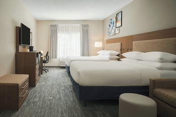 Suite, Multiple Beds