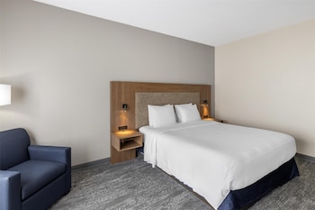 Standard Room, 1 King Bed, Accessible, Refrigerator & Microwave