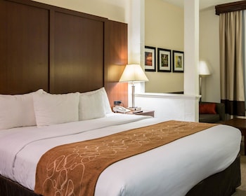 Standard Room, 1 King Bed with Sofa bed, Non Smoking