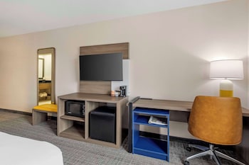 Standard Room, 1 King Bed, Non Smoking