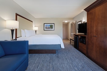Standard Room, 1 King Bed with Sofa bed