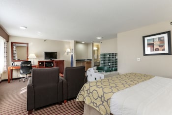 Studio Suite, 1 King Bed, Non Smoking
