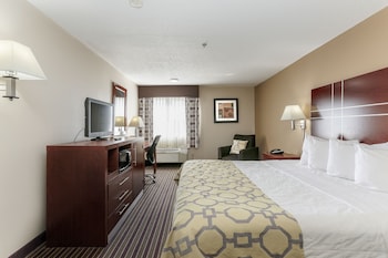 Room, 1 King Bed, Non Smoking