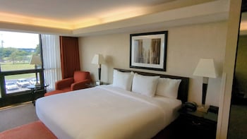 Standard Suite, 1 King Bed with Sofa bed