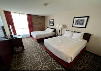 Premium Suite