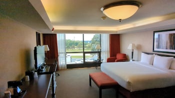 Standard Suite, 1 King Bed with Sofa bed