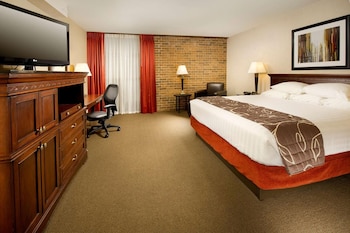 Standard Room, 1 King Bed