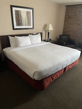 Standard Room, 1 King Bed, Accessible Bathtub