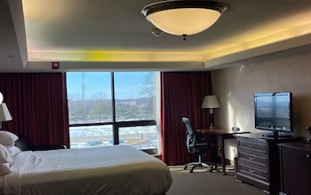 Standard Suite, 1 King Bed with Sofa bed