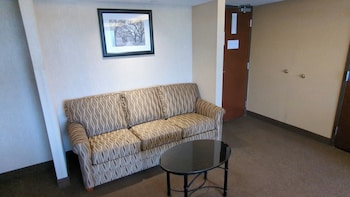 Standard Suite, 1 King Bed with Sofa bed