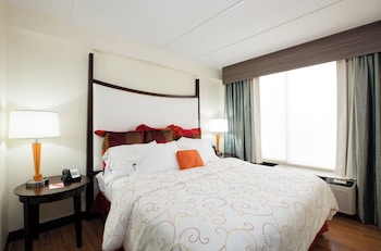 Standard Room, 1 King Bed with Sofa bed