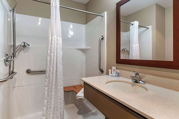 Room, 1 King Bed, Accessible, Non Smoking (Roll-In Shower)